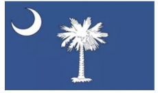 Fahne - South Carolina